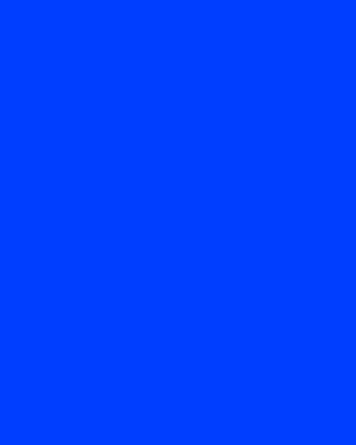 portrait-Blank